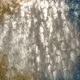 Image for article titled Weird Art Brings Plastic Shopping Bags Closer to Nature